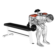 Dumbbell Seated Bent Over Alternate Kickback demonstration animation