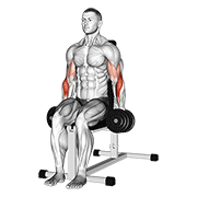 Dumbbell Seated Hammer Curl demonstration animation