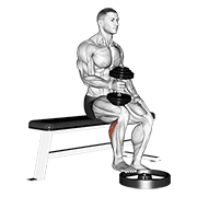 Dumbbell Seated One Leg Calf Raise Hammer Grip demonstration animation