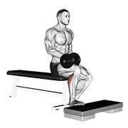 Dumbbell Seated One Leg Calf Raise demonstration animation