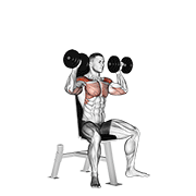 Dumbbell Seated Shoulder Press demonstration animation