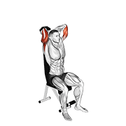 Dumbbell Seated Triceps Extension demonstration animation