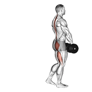 Dumbbell Single Leg Deadlift demonstration animation