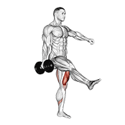 Dumbbell Single Leg Squat demonstration animation