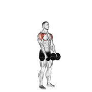 Dumbbell Standing Front Raise Above Head demonstration animation