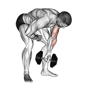 Dumbbell Standing One Arm Concentration Curl demonstration animation