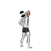 Dumbbell Standing One Arm Extension demonstration animation