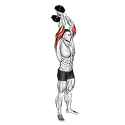Dumbbell Standing Triceps Extension demonstration animation