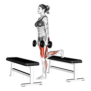 Dumbbell Step Up Lunge demonstration animation