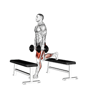 Dumbbell Step Up Split Squat demonstration animation