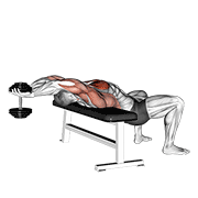 Dumbbell Straight Arm Pullover demonstration animation