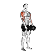 Dumbbell Upright Row demonstration animation