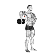 Dumbbell Upright Shoulder External Rotation demonstration animation