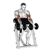 Dumbbell Zottman Preacher Curl demonstration animation