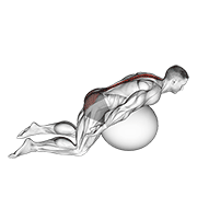 Exercise Ball Back Extension With Arms Extended demonstration animation