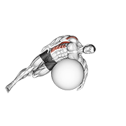 Exercise Ball Lying Side Lat Stretch demonstration animation