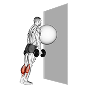 Exercise Ball On The Wall Calf Raise demonstration animation