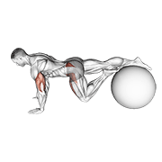 Exercise Ball One Leg Prone Lower Body Rotation demonstration animation