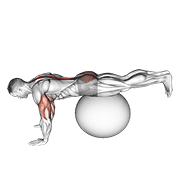 Exercise Ball Prone Leg Raise demonstration animation