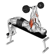 Ez Barbell Decline Close Grip Face Press demonstration animation