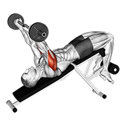 Ez Barbell Decline Triceps Extension demonstration animation