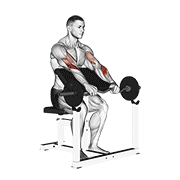 Ez Barbell Reverse Grip Preacher Curl demonstration animation