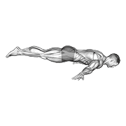 Full Maltese demonstration animation