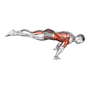 Full Planche Push Up demonstration animation