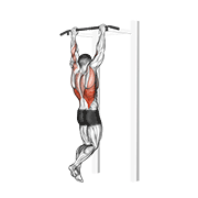 Gironda Sternum Chin demonstration animation