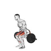 Hack Squat demonstration animation