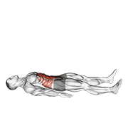 Half Sit Up demonstration animation