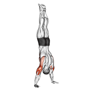Handstand Pushup demonstration animation