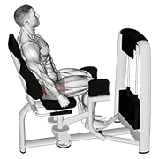 Hip Abduction demonstration animation