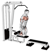 Inverse Leg Curl On Pull Up Cable Machine demonstration animation