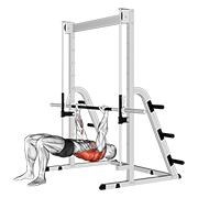 Inverted Row Bent Knees demonstration animation
