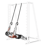 Inverted Row With Straps demonstration animation