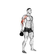 Kettlebell Bottoms Up Clean From The Hang Position demonstration animation
