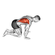 Lat Stretch demonstration animation