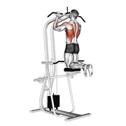 Lever Assisted Chin Up demonstration animation