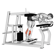 Lever Donkey Calf Raise demonstration animation
