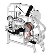 Lever Hip Extension V2 demonstration animation