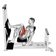 Lever Horizontal One Leg Press demonstration animation