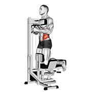 Lever Kneeling Twist demonstration animation