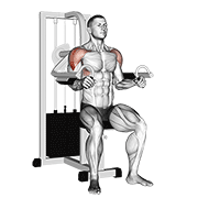 Lever Lateral Raise demonstration animation