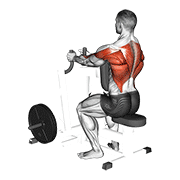 Lever Narrow Grip Seated Row demonstration animation