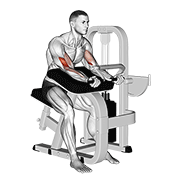 Lever Preacher Curl demonstration animation