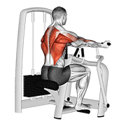 Lever Reverse Grip Vertical Row demonstration animation