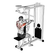 Lever Seated Reverse Fly demonstration animation