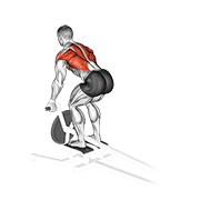 Lever T Bar Reverse Grip Row demonstration animation