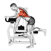 Lever Unilateral Row demonstration animation